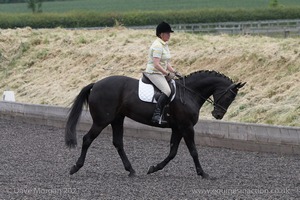 ISIS Dressage Challenge 2008